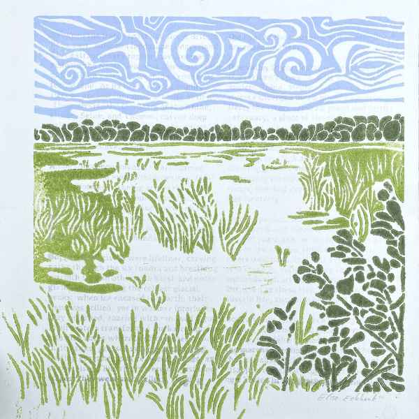 River AiM book collection 01